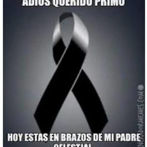 Meet your Posher, Henrry